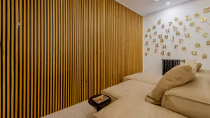 PROYECTO FLIPPING MAD (6)