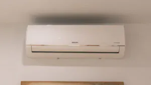 5 ENTRADADETALLES 3