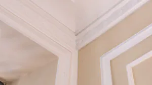 8 ZONASCOMUNES 7